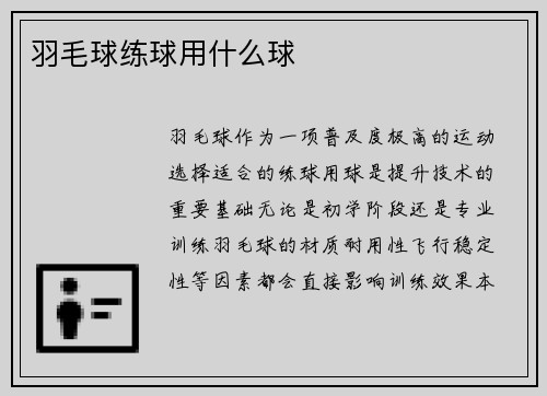 羽毛球练球用什么球