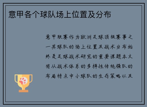 意甲各个球队场上位置及分布